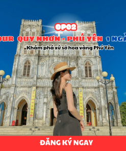 Tour Quy Nhơn Phú Yên 1 ngày: Khám phá xứ sở hoa vàng.