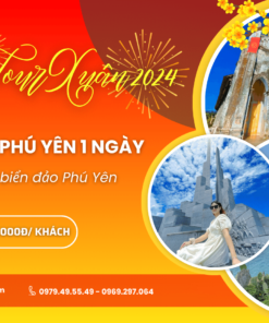 Tour Quy Nhơn Phú Yên 1 Ngày Tết 2024