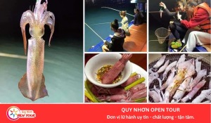 Tour câu mực đêm