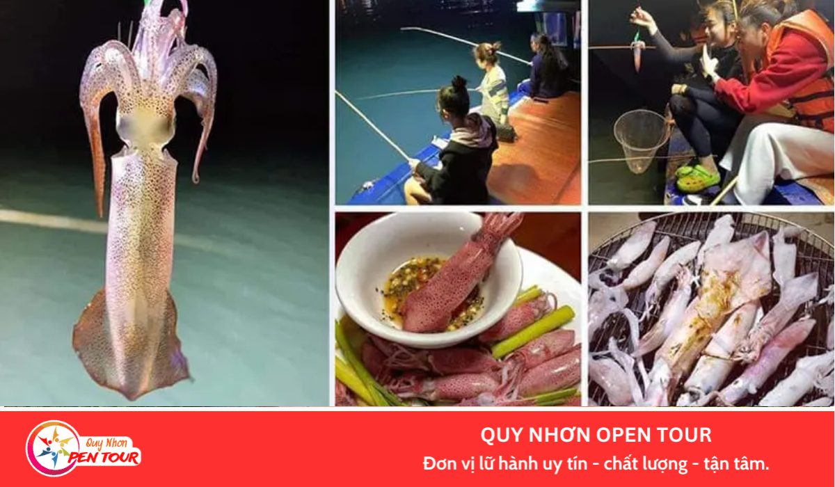 Tour câu mực đêm